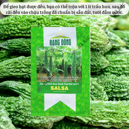 Hạt Giống Khổ Qua Xanh Trái Dài Salsa RADO (Gói 5 Hạt) Rạng Đông, Trồng Quanh Nă - Chi tiết