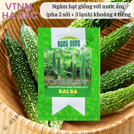 Hạt Giống Khổ Qua Xanh Trái Dài Salsa RADO (Gói 5 Hạt) Rạng Đông, Trồng Quanh Nă - Sử dụng