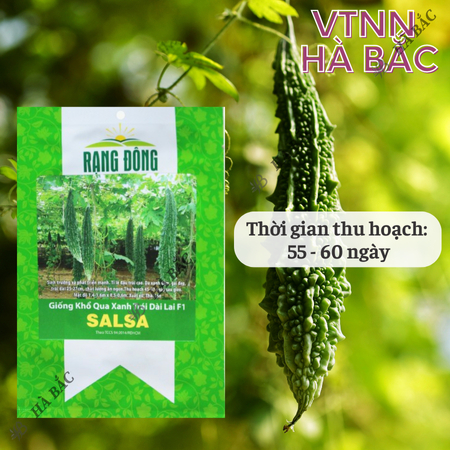 Hạt Giống Khổ Qua Xanh Trái Dài Salsa RADO (Gói 5 Hạt) Rạng Đông, Trồng Quanh Nă - Góc nhìn khác