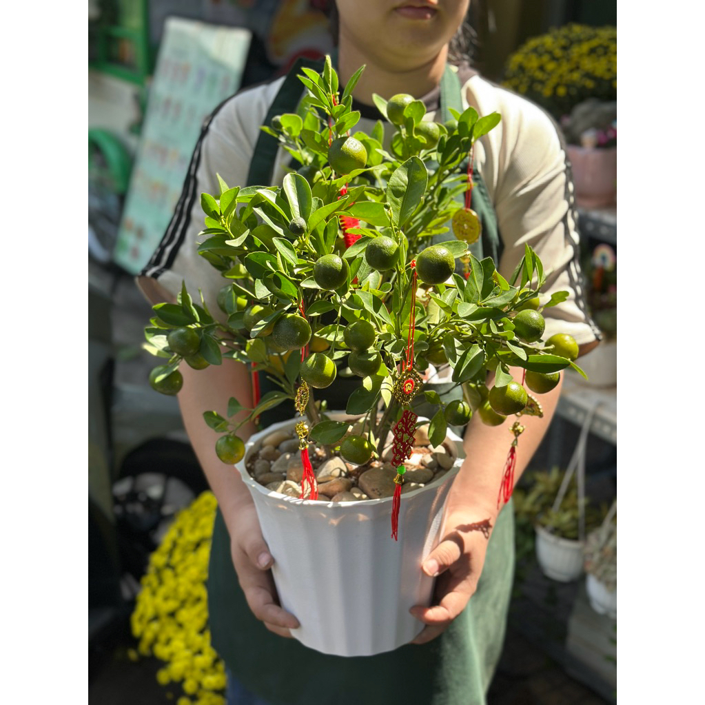 (Hoả tốc - Sử dụng