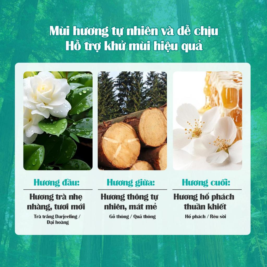 MUA 2 TẶNG 1 Nước Tẩy Bồn Cầu Flashman 500g – Diệt Khuẩn ... - Thiết kế